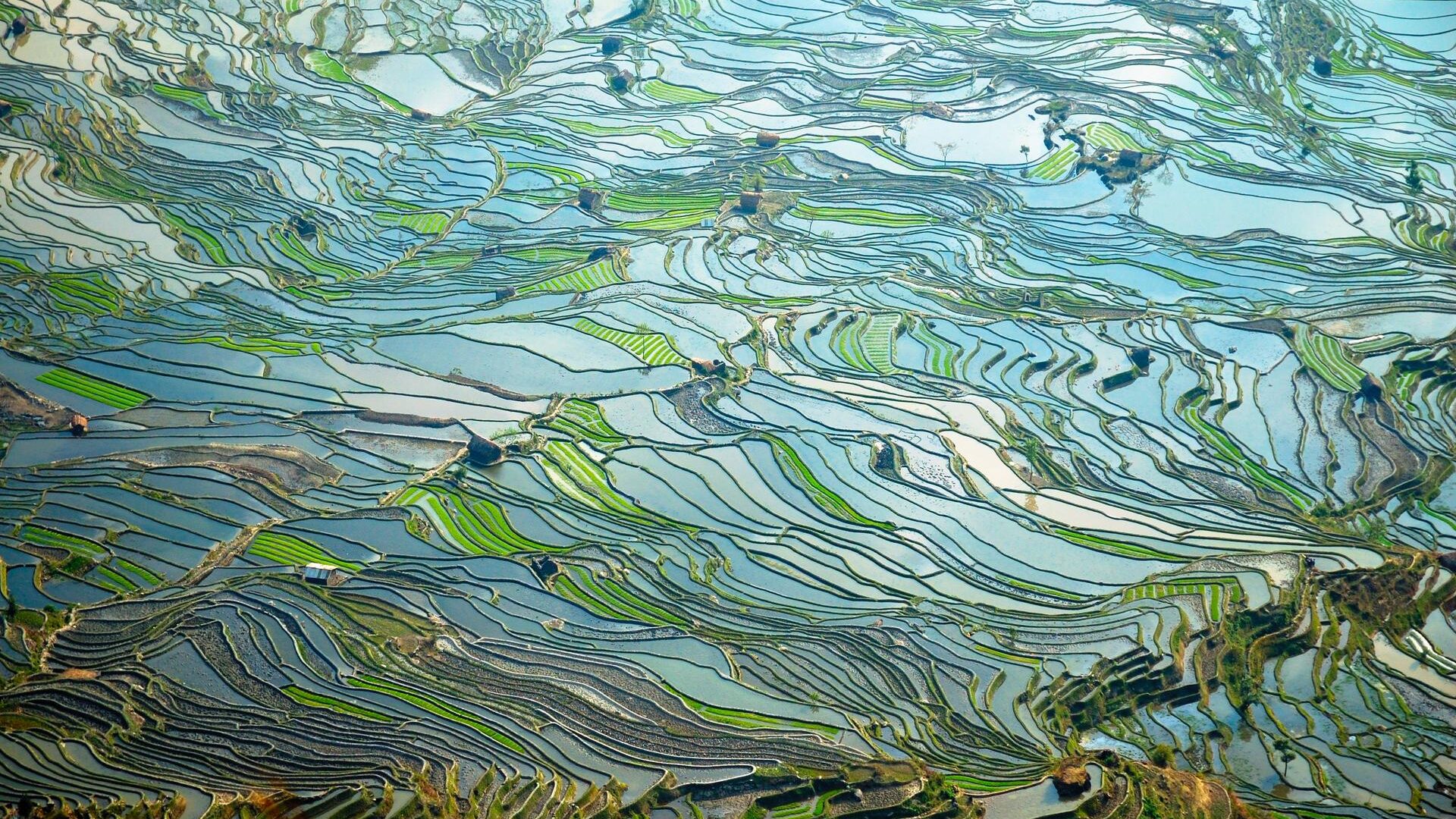 司美格鲁肽生物类似药系列产品对中国大陆意味着什么